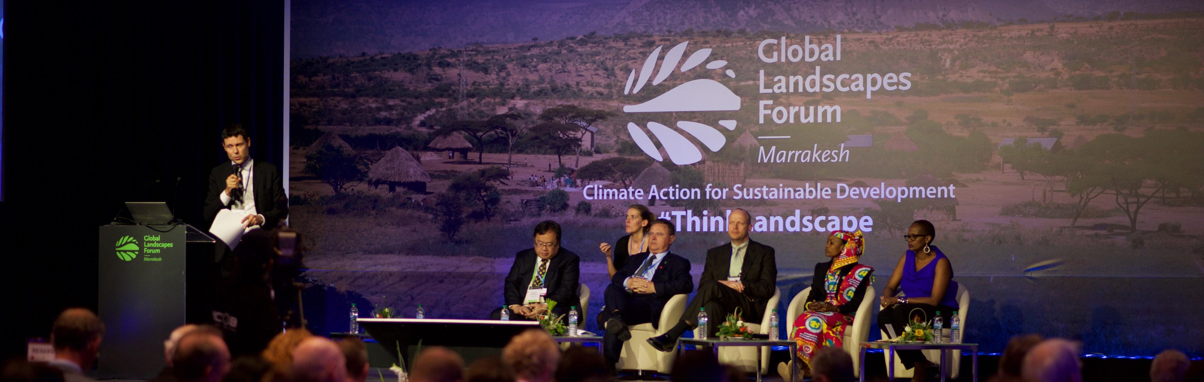 What Is The Global Landscapes Forum Global Landscapes Forum