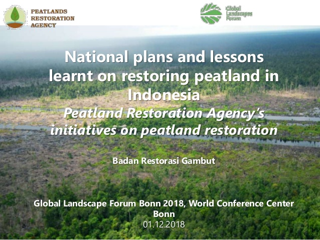 Presentation: National Plans And Lessons Learnt On Restoring Peatland ...