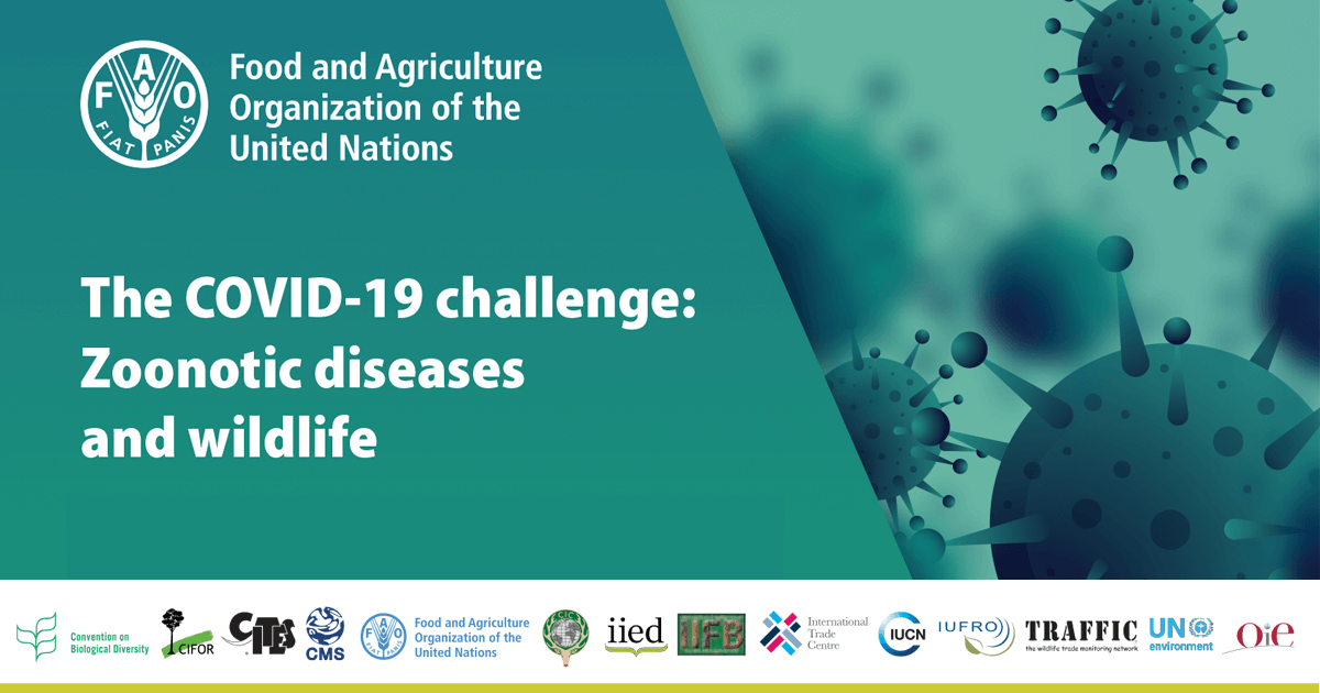 News: The COVID-19 Challenge: Zoonotic Diseases And Wildlife - Global ...