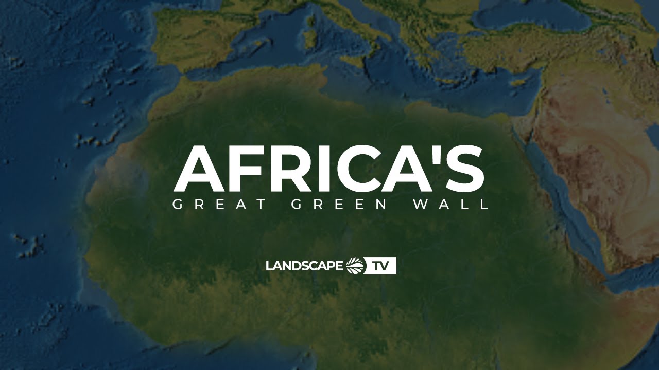 Video How Africas Great Green Wall Will Make The Sahel Green Again