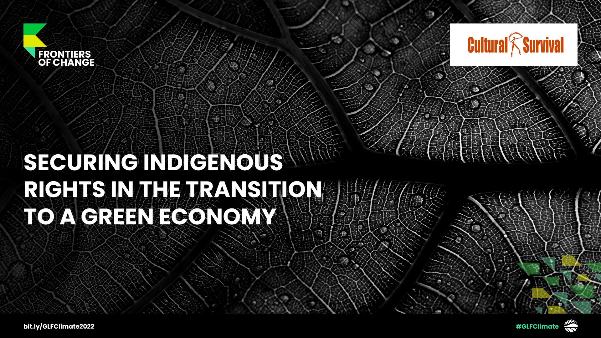 Securing Indigenous Rights In The Transition To A Green Economy